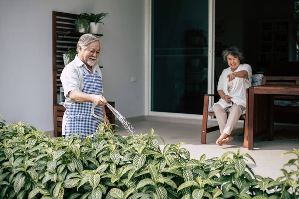 Green Spaces and Their Impact on Senior Wellness